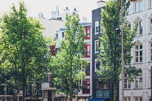 Main downtown street in the city center of Amsterdam in Netherlands on sunny day