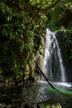 walk and discover the prego salto waterfall on the island of sao miguel, azores, Portugal.