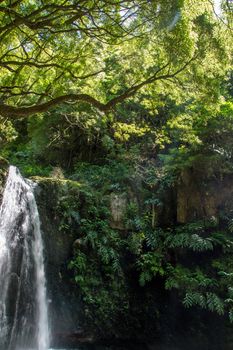 walk and discover the prego salto waterfall on the island of sao miguel, azores, Portugal.
