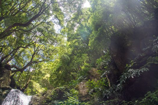 walk and discover the prego salto waterfall on the island of sao miguel, azores, Portugal.