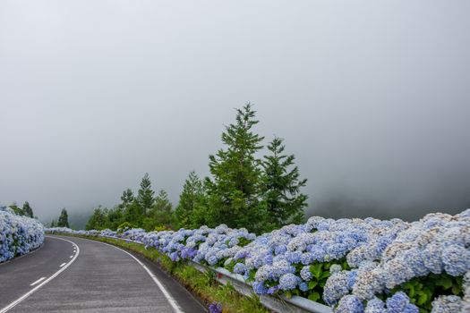 Walk on the Azores archipelago. Discovery of the island of Sao Miguel, Azores. Portugal