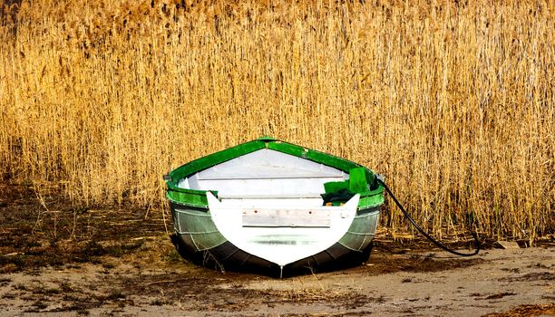 old fisherman boat and reed plant image