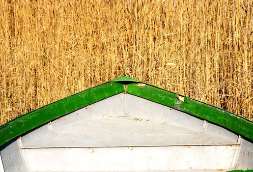 old fisherman boat and reed plant image