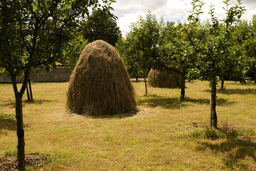 2 haystacks in summer in an orchard