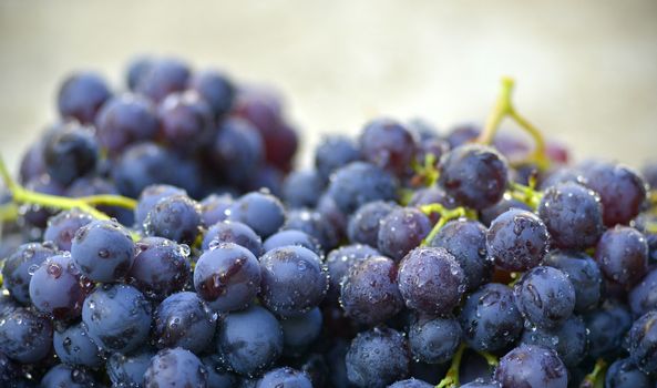 water drops on a red grape image