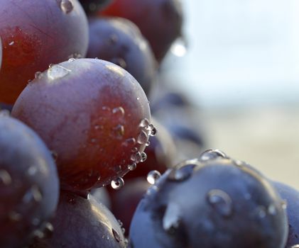 water drops on a red grape image