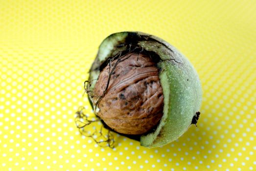 image of raw organic nuts, studio shot on yellow image