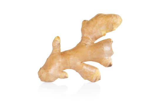 Fresh ginger root  isolated on white background for herb and medical product concept