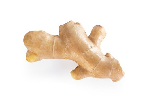 Fresh ginger root  isolated on white background for herb and medical product concept