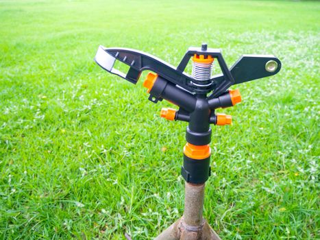 Watering plants and lawns in the garden is the selective focus of Springer.