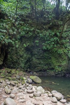 walk and discover the prego salto waterfall on the island of sao miguel, azores, Portugal.