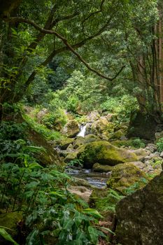 walk and discover the prego salto waterfall on the island of sao miguel, azores, Portugal.