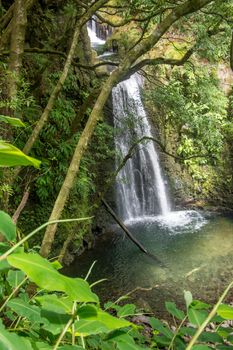 walk and discover the prego salto waterfall on the island of sao miguel, azores, Portugal.