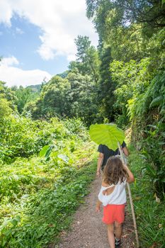 walk and discover the prego salto waterfall on the island of sao miguel, azores, Portugal.