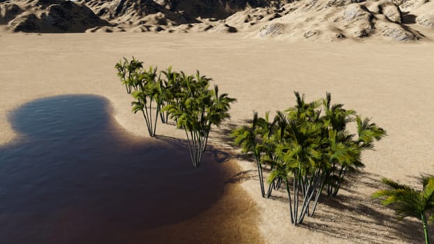 3d rendering - Oasis in the desert