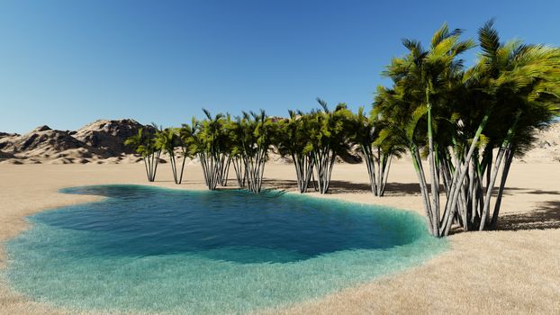 3d rendering - Oasis in the desert