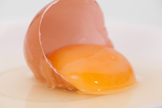 broken egg on white background close up
