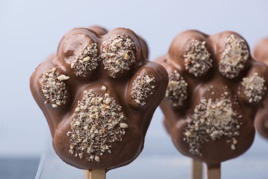 chocolate cookies in the form of hands and paws