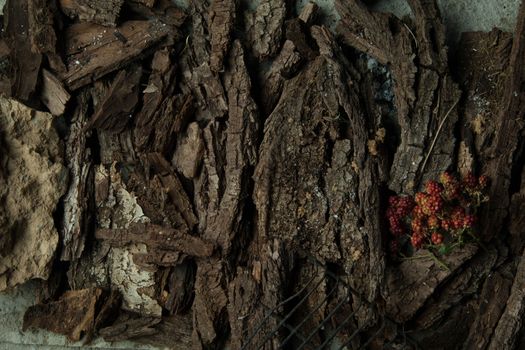 blackberry berries on a bark background of a tree