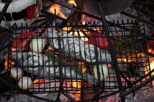 cook fish with mushrooms on the fire with spruce branches