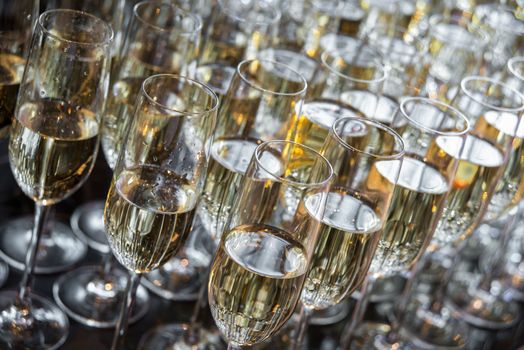 a lot of glasses with champagne stand in a row. glasses with champagne closeup