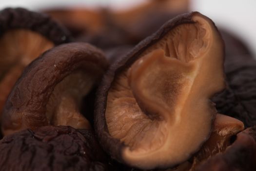 dark mushrooms close up on a light background