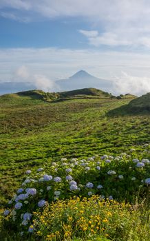 Walk on the Azores archipelago. Discovery of the island of sao jorge, Azores. Portugal. , Azores. Portugal. Velas