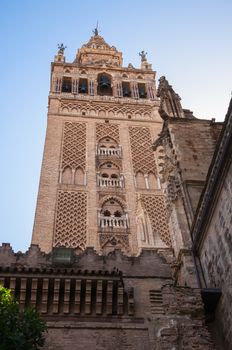 The Giralda - bell tower of the Seville Cathedral in Spain