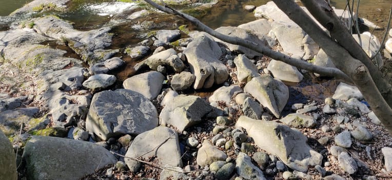 Fish shaped rock in a brook in Jeju Island, South Korea