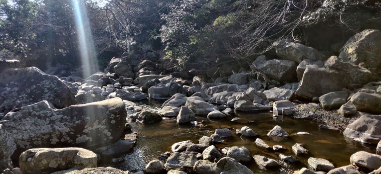 A divine ray of light on a brook filled with rocks surrounded by green bushes in Jeju Island, South Korea