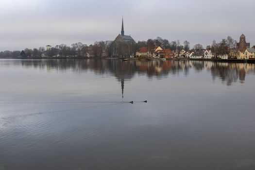 Birds swimming in a lake in november with the small town of Vadstena, Sweden, in the background