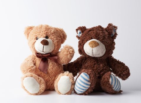 two plush brown witches sitting on a white background, concept of friendship and love