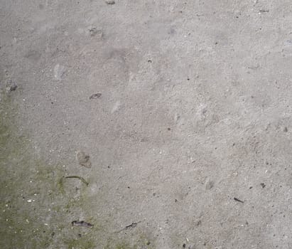 texture of gray cracked cement, element for the designer, full frame. Grey stone background. Dirty cracked wall texture