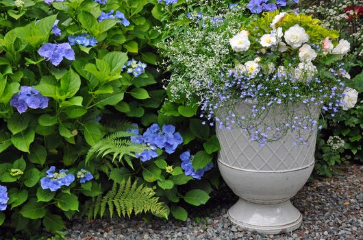 Planter in lovely hydrangea garden