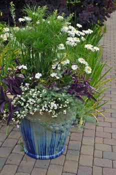 Blue decorative ceramic flowerpot on patio