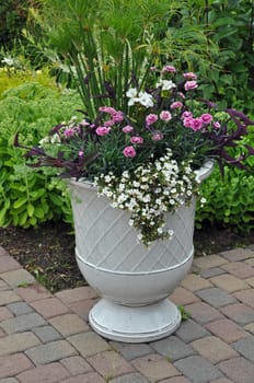 White ceramic flowerpot filled with carnations on patio