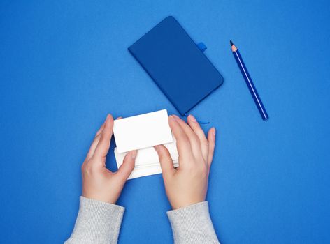 two female hands holding a stack of empty white paper business cards on a blue background, top view