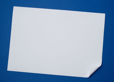 blank white sheet of paper with a curled corner on a blue background, copy space
