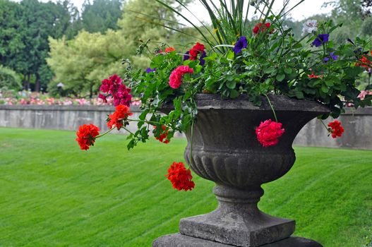 Stone planter filled with red begonias and other plants