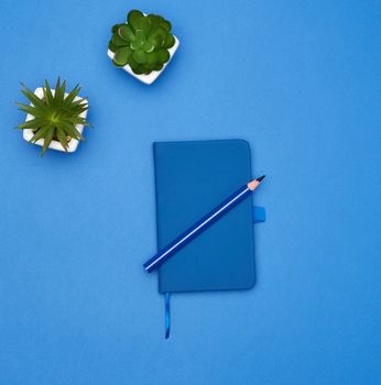 two ceramic pots with plants and closed blue notebook on a blue background, copy space, top view