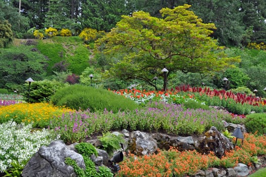Colorful botanical garden in summer