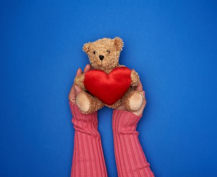 two female hands hold a small toy teddy bear with red heart on a dark blue background, top view