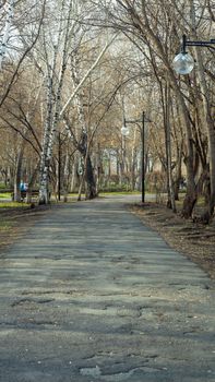 Bad road in the Park. Autumn, spring, walk. Empty alley.