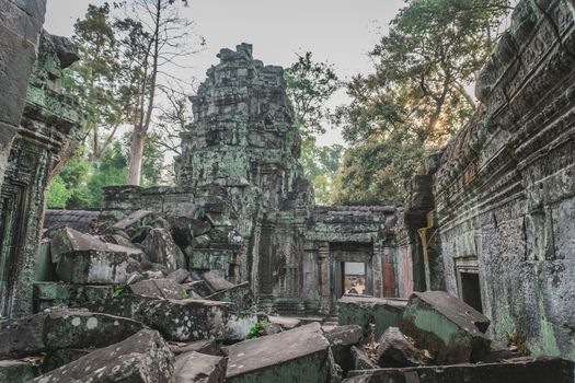 Huge Banyan Tree Ancient Angkor Wat Ruins Panorama Sunrise Asia. Angkor Temples Ta Prohm. Siem Reap, Cambodia 