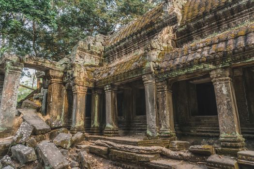 Medium shot of Ruins Of Angkor Temples Ta Prohm. Siem Reap, Cambodia 