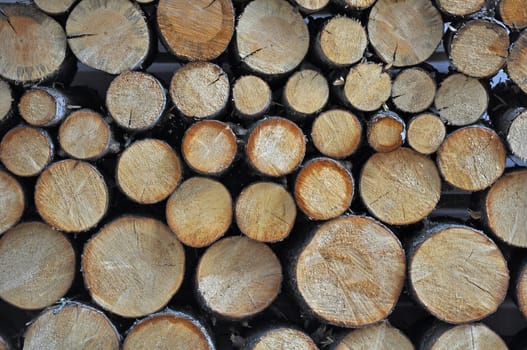 Stack of cut firewood