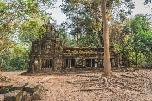 Huge Banyan Tree Ancient Angkor Wat Ruins Panorama Sunrise Asia. Banteay Kdei Temple. Siem Reap, Cambodia 