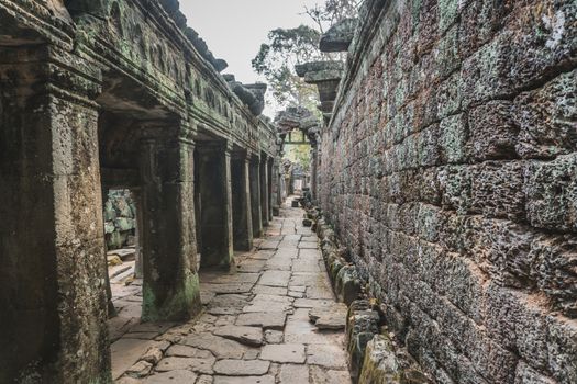 Medium shot of Ruins Of Abandon Temple - Angkor Wat. Banteay Kdei Temple. Siem Reap, Cambodia