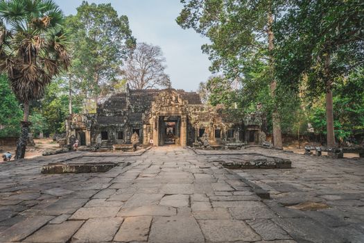 Huge Banyan Tree Ancient Angkor Wat Ruins Panorama Sunrise Asia. Banteay Kdei Temple. Siem Reap, Cambodia
