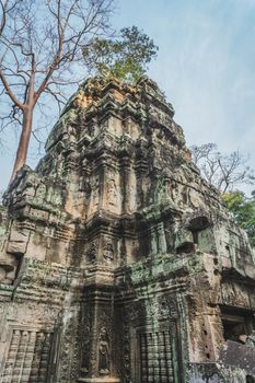 Cambodia Angkor Wat Ta Prohm Temple Tomb Raider Tree Roots Ruins. Angkor Temples Ta Prohm. Siem Reap, Cambodia 